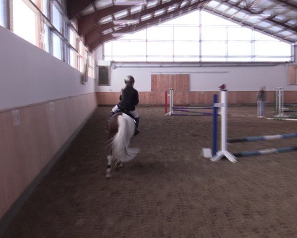Reitturnier Albersloh 2024