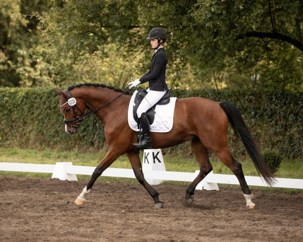 dressage horse Le Bon Coeur (German Horse, 2019, from Louis le Bon)