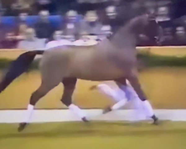 Video von Askar AA