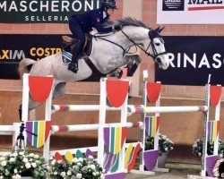 jumper Iney (KWPN (Royal Dutch Sporthorse), 2013, from Zirocco Blue)