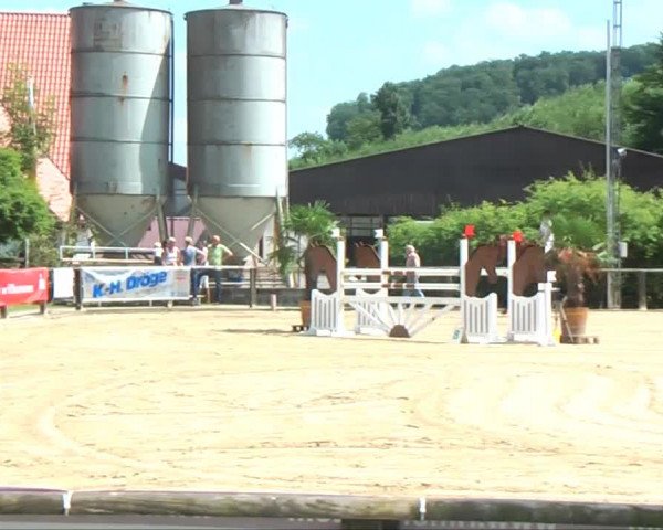 Lippische Reiterspiele 2013 Springen