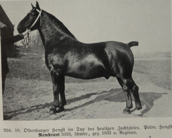 stallion Rembrant 3533 (Oldenburg, 1933, from Reginus 3476) stallion Rembrant 3533 (Oldenburg, 1933, from Reginus 3476)