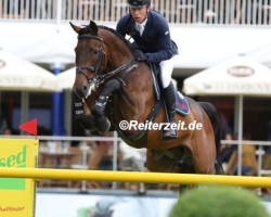 jumper Starissa (Hanoverian, 2013, from Stakkato Gold)