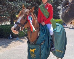 broodmare Cherry-Kiss (German Riding Pony, 2010, from Mentano K)