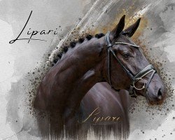 horse Lipari (Hanoverian, 2021, from Laudate Dominum)