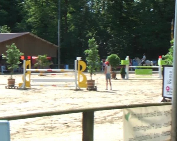 Lippische Reiterspiele 2013 Springen