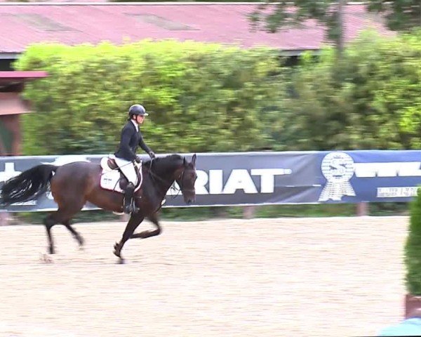 Video of Nehalennia