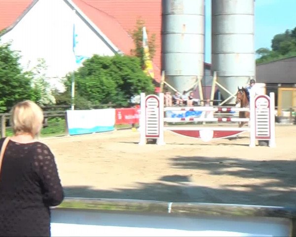Lippische Reiterspiele 2013 Springen