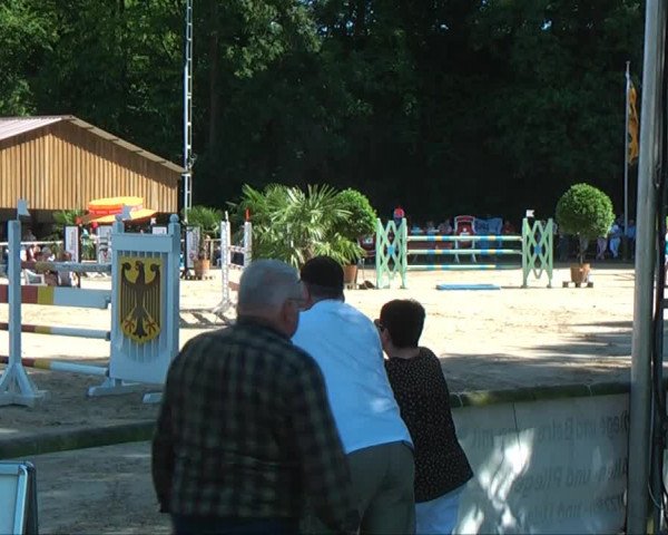 Lippische Reiterspiele 2013 Springen