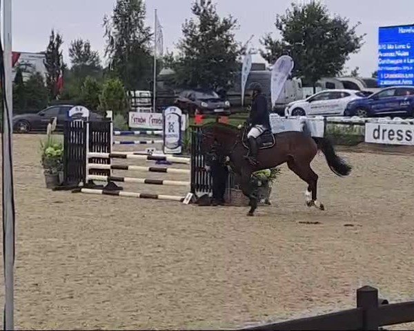 Reitturnier Havekost 2024