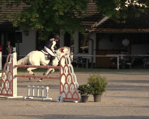 Reitturnier Richelsdorf 2024