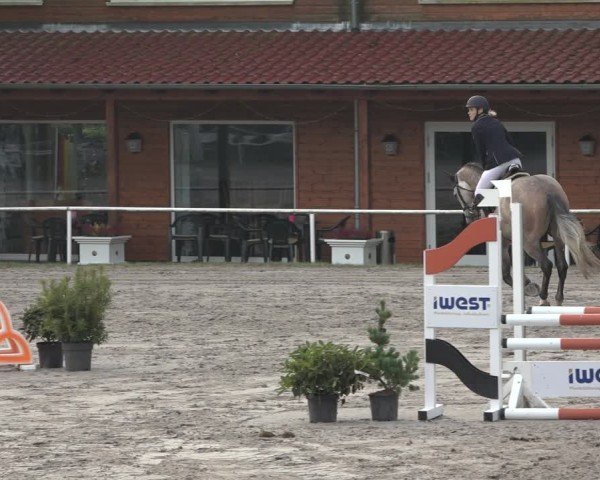 Reitturnier Richelsdorf 2024
