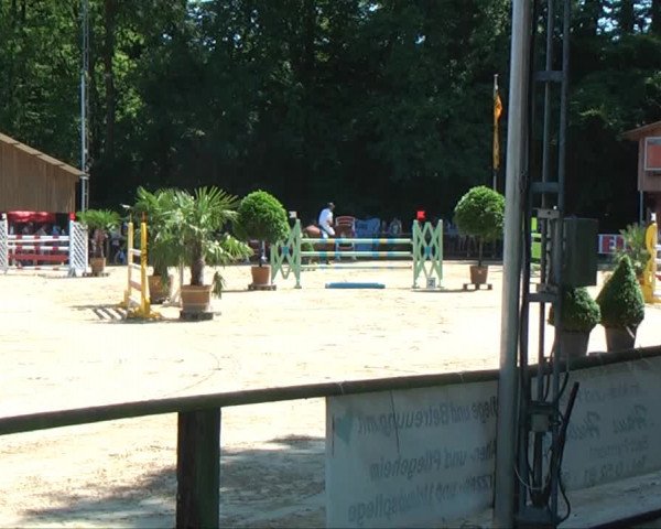 Lippische Reiterspiele 2013 Springen