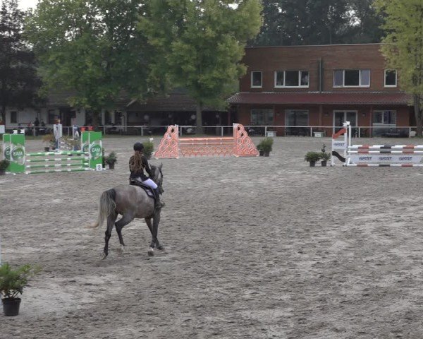 Reitturnier Richelsdorf 2024