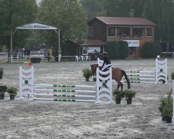 Reitturnier Richelsdorf 2024