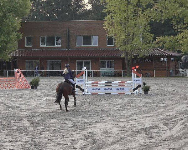 Reitturnier Richelsdorf 2024