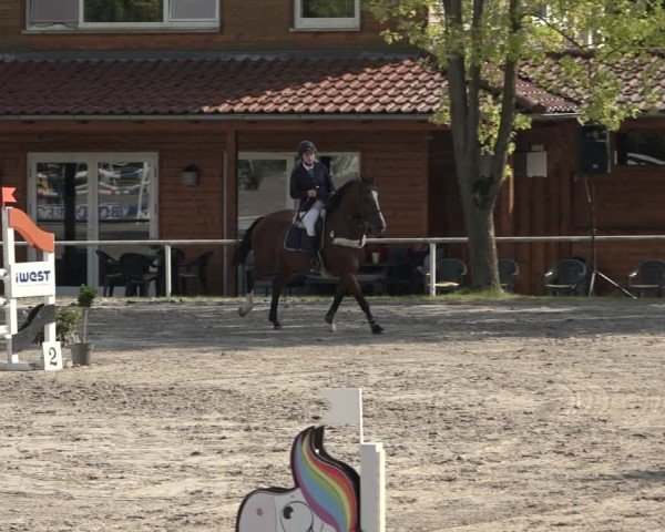 Reitturnier Richelsdorf 2024