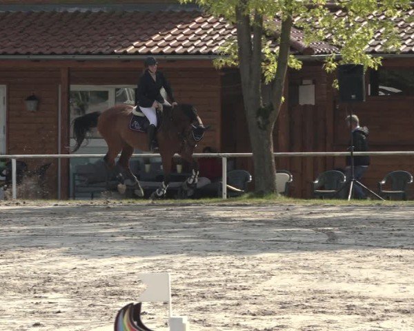 Reitturnier Richelsdorf 2024