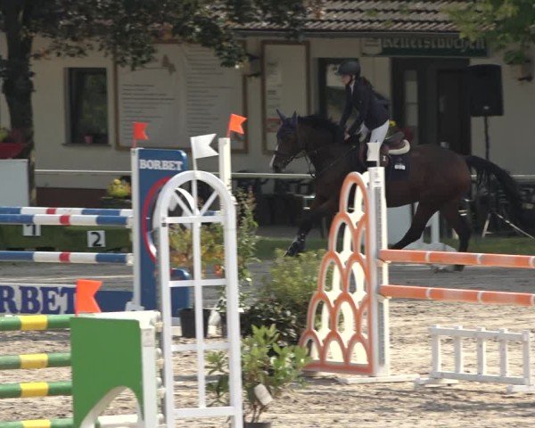 Reitturnier Richelsdorf 2024