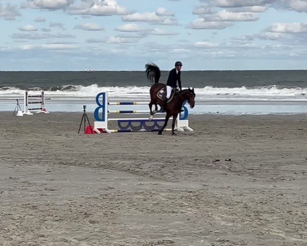 Reitturnier Norderney 2024