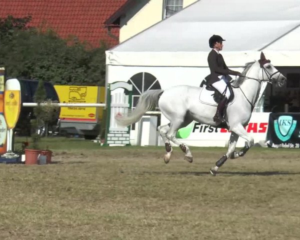 Steinhagener Reitertage 2013