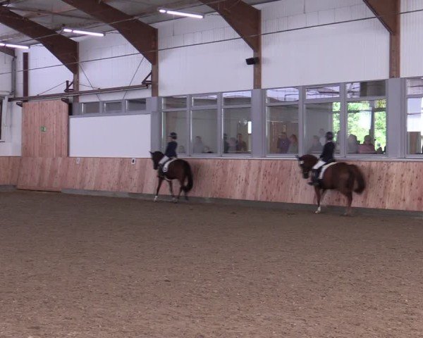 Reitturnier Albersloh 2024