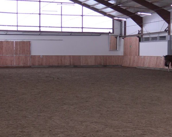Reitturnier Albersloh 2024