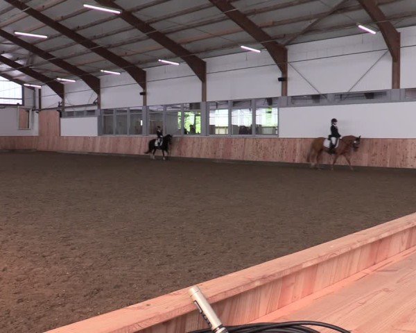 Reitturnier Albersloh 2024