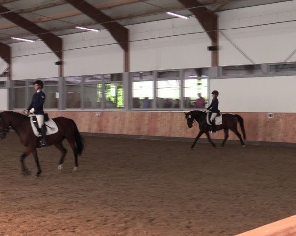 Reitturnier Albersloh 2024