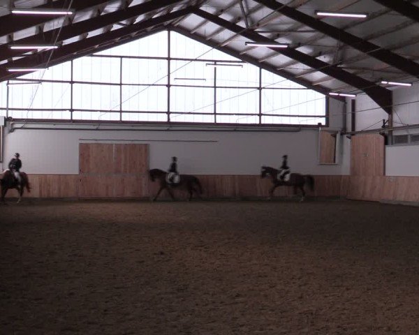 Reitturnier Albersloh 2024