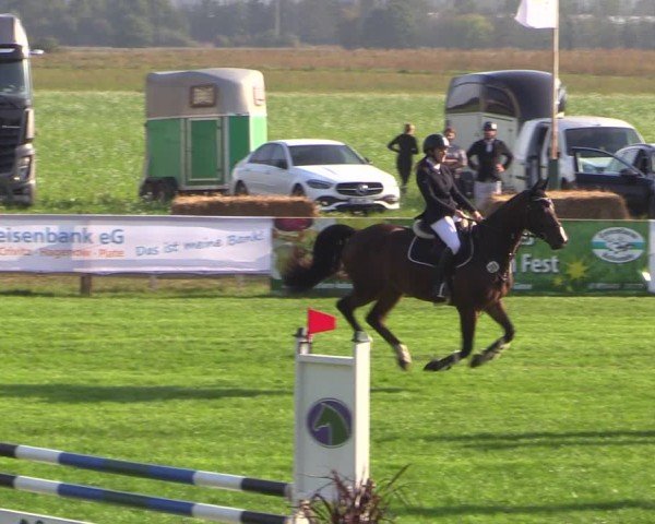 Reitturnier Crivitz 2024