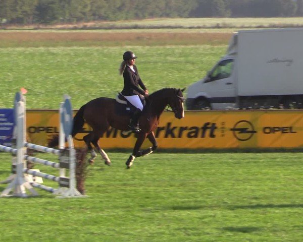 Reitturnier Crivitz 2024
