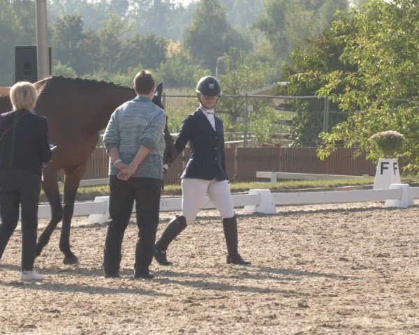 Reitturnier Rodgau-Weiskirchen 2024