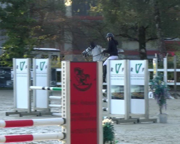 Reitturnier Bregenz 2024