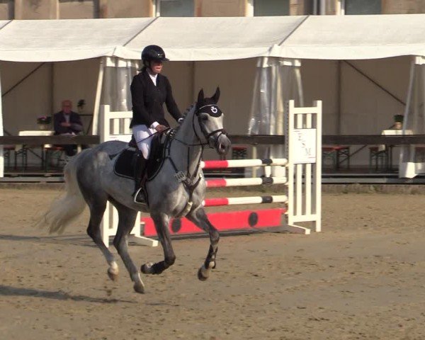 Reitturnier Buchenhof-Ibbenbüren 2024