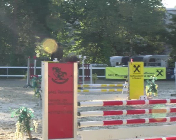 Reitturnier Bregenz 2024