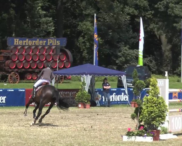 Steinhagener Reitertage 2013