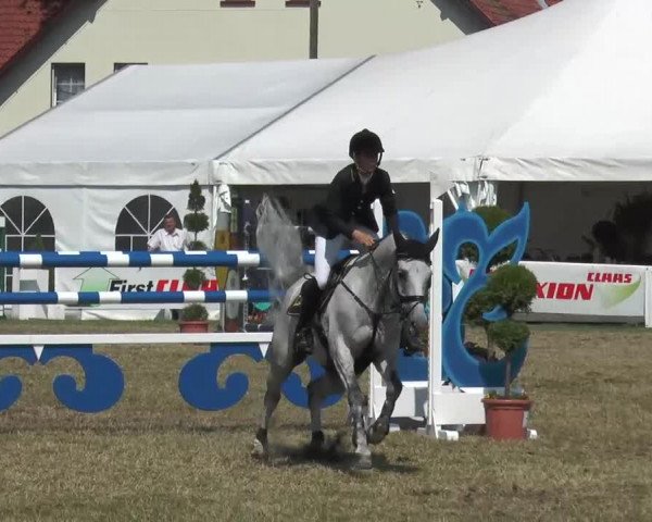 Steinhagener Reitertage 2013