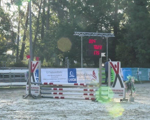 Reitturnier Bregenz 2024