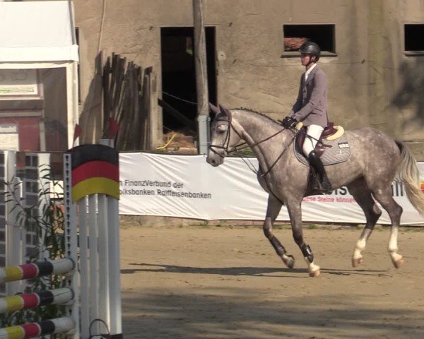 Reitturnier Buchenhof-Ibbenbüren 2024
