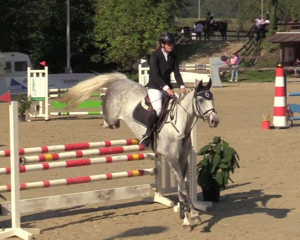 Reitturnier Buchenhof-Ibbenbüren 2024
