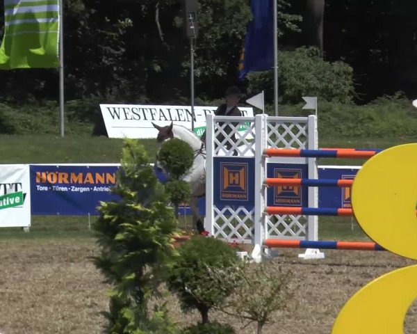 Steinhagener Reitertage 2013