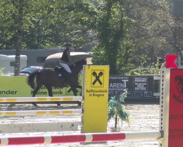 Reitturnier Bregenz 2024