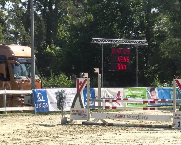 Reitturnier Bregenz 2024