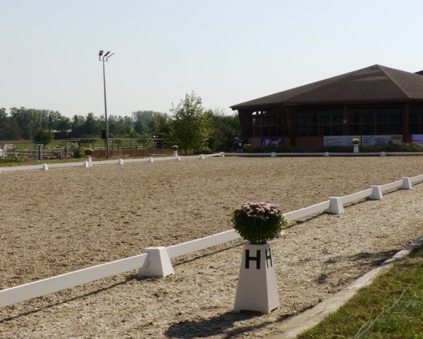 Reitturnier Rodgau-Weiskirchen 2024