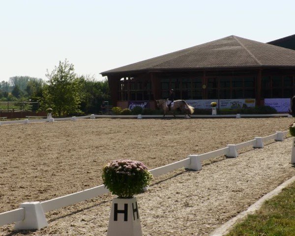 Reitturnier Rodgau-Weiskirchen 2024