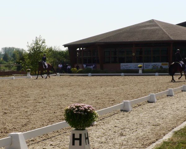 Reitturnier Rodgau-Weiskirchen 2024