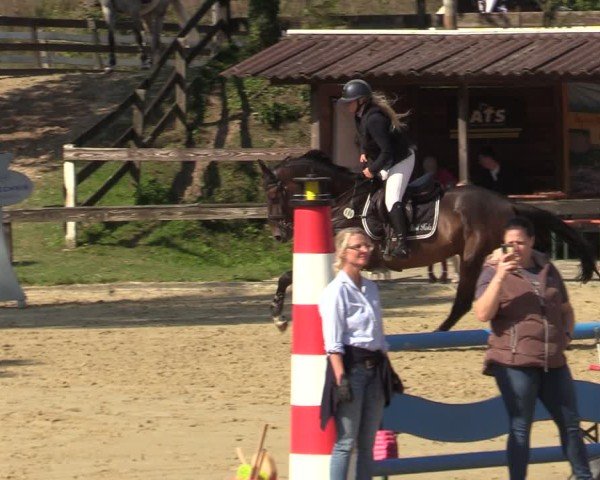 Reitturnier Buchenhof-Ibbenbüren 2024