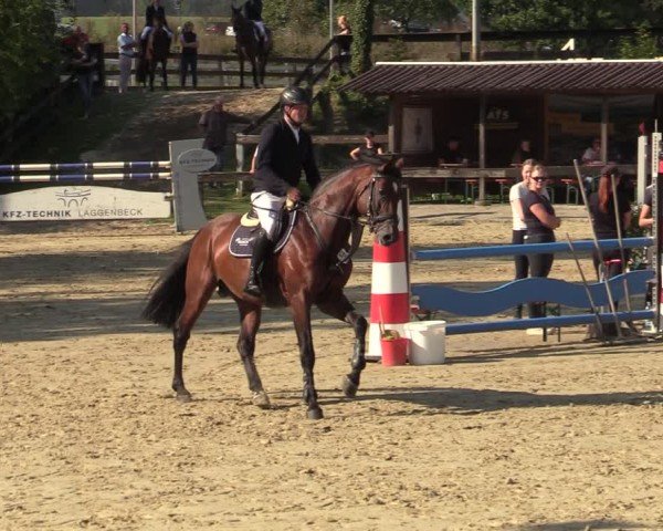 Reitturnier Buchenhof-Ibbenbüren 2024