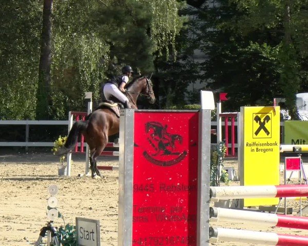 Reitturnier Bregenz 2024
